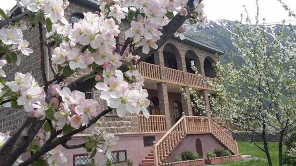 Max Hotel Gogi Alibegashvili Kazbegi Eksteriør billede