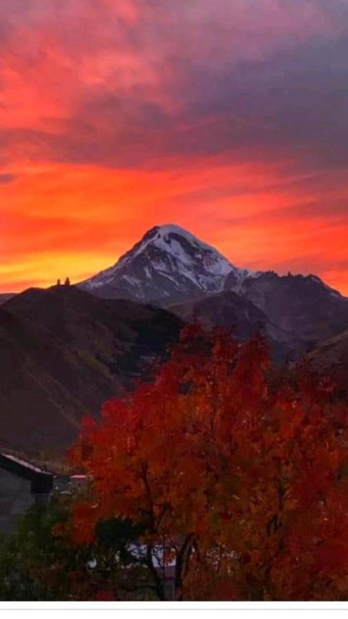 Max Hotel Gogi Alibegashvili Kazbegi Eksteriør billede