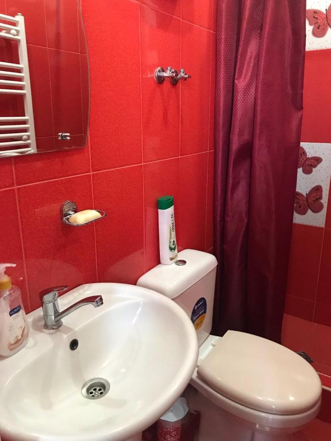 Max Hotel Gogi Alibegashvili Kazbegi Eksteriør billede