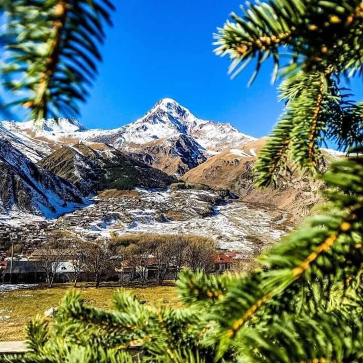 Max Hotel Gogi Alibegashvili Kazbegi Eksteriør billede